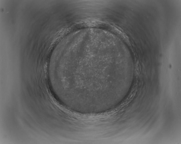 X0000057090018200509301603