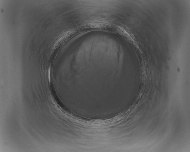 X0000057090019200509301603