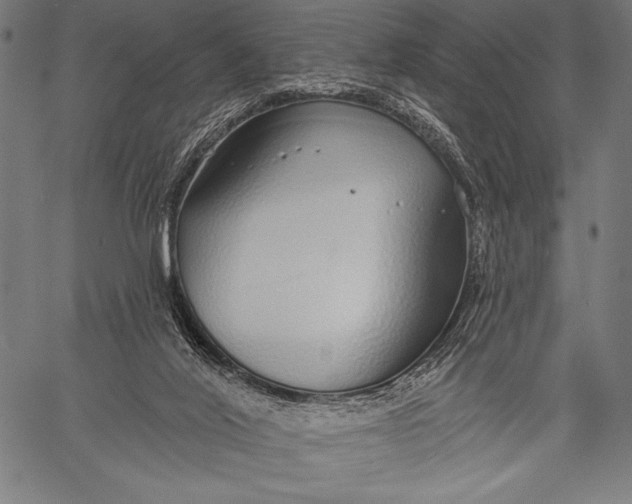 X0000057090020200509301603