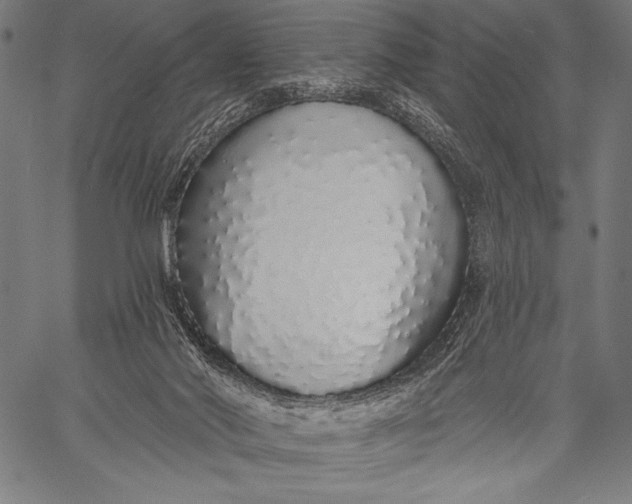 X0000057090022200509301603