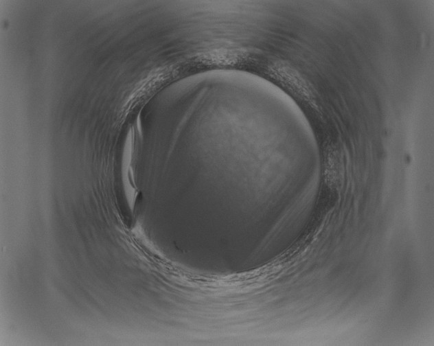 X0000057090023200509301603