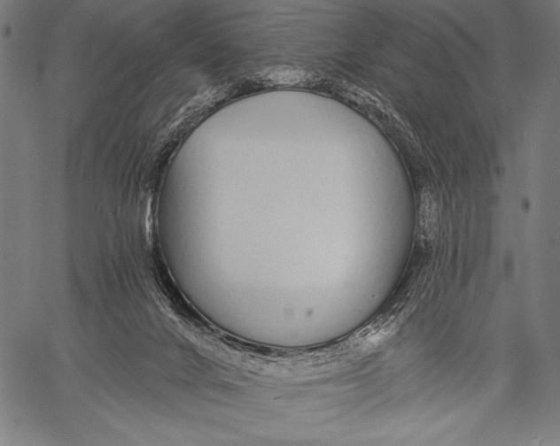 X0000057090024200509301603