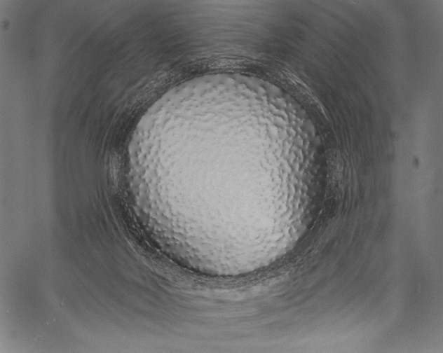 X0000057090026200509301602