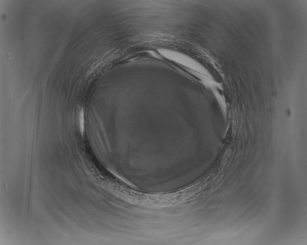 X0000057090027200509301602