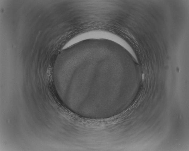 X0000057090029200509301602