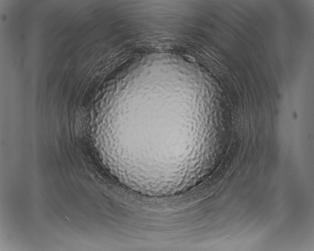 X0000057090030200509301602