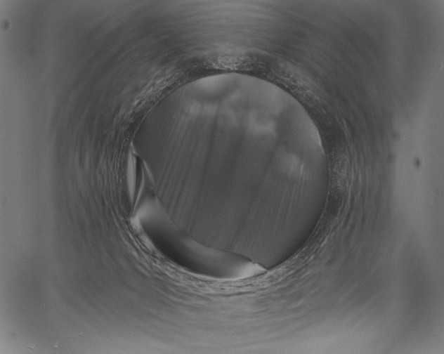 X0000057090031200509301602