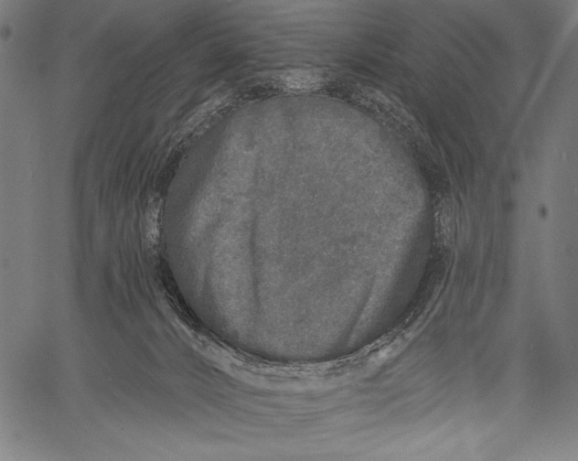 X0000057090032200509301602