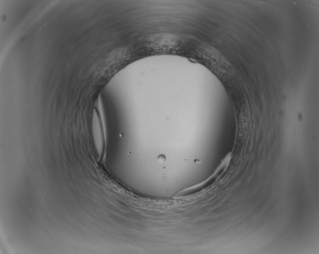 X0000057090037200509301602