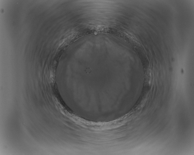 X0000057090039200509301602