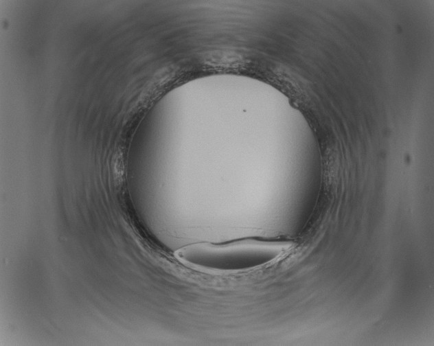 X0000057090040200509301602