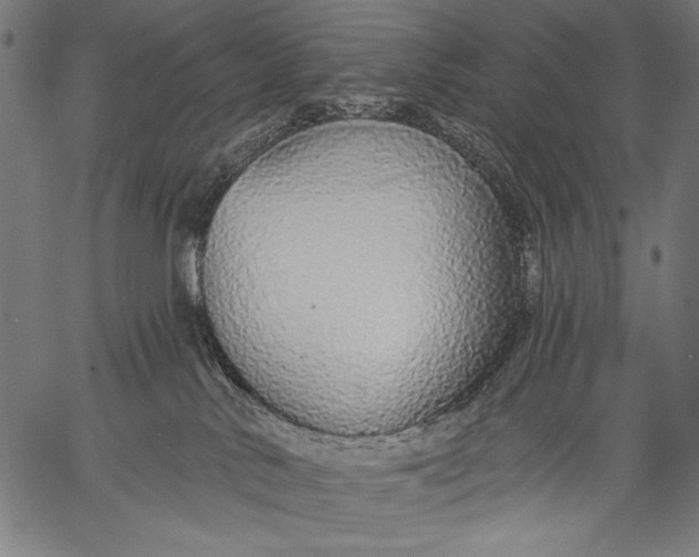 X0000057090042200509301602