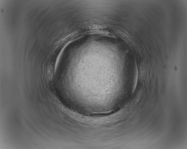 X0000057090043200509301602