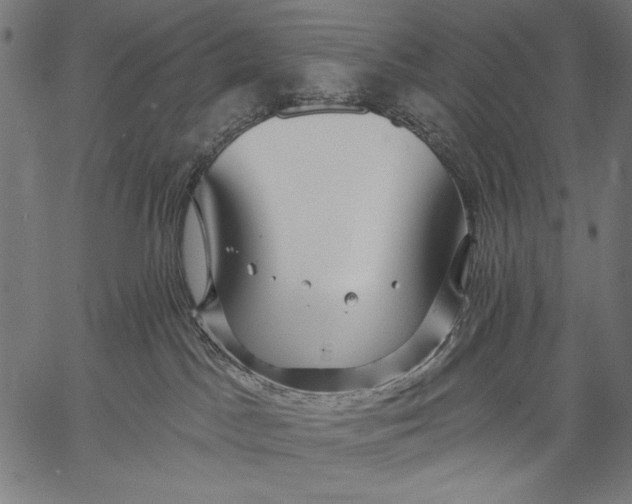 X0000057090045200509301602