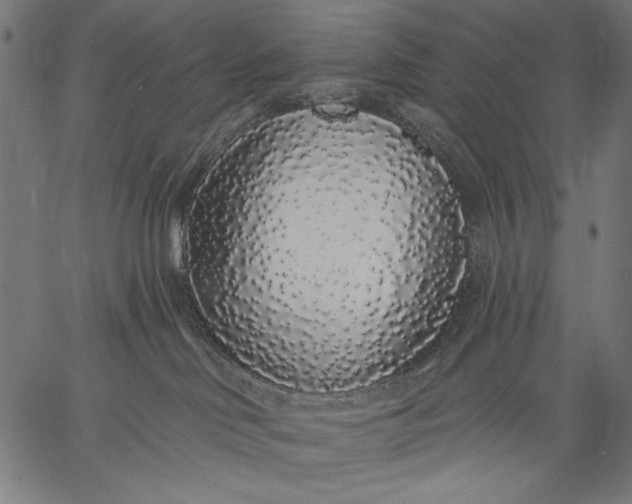 X0000057090046200509301602