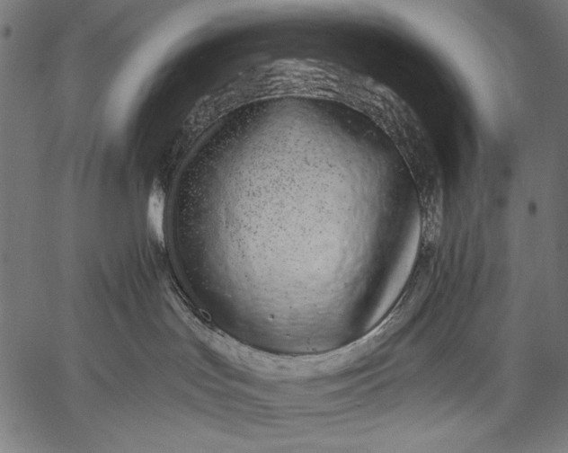 X0000057090047200509301602