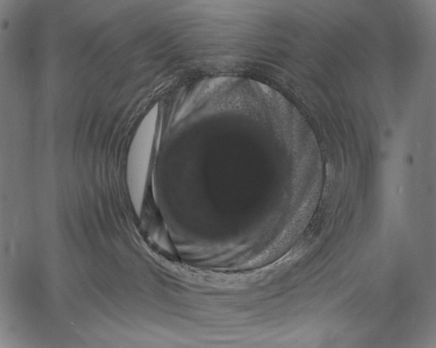 X0000057090048200509301602