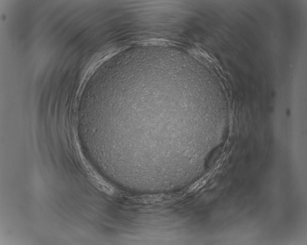 X0000057090049200509301601