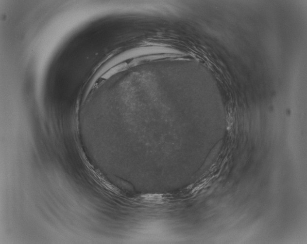 X0000057090052200509301601