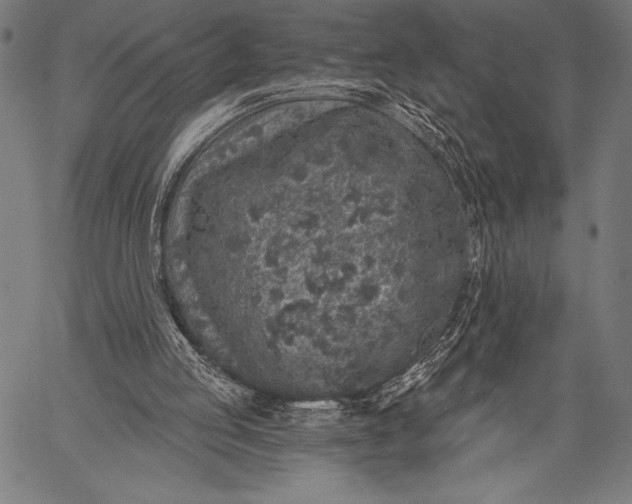 X0000057090053200509301601