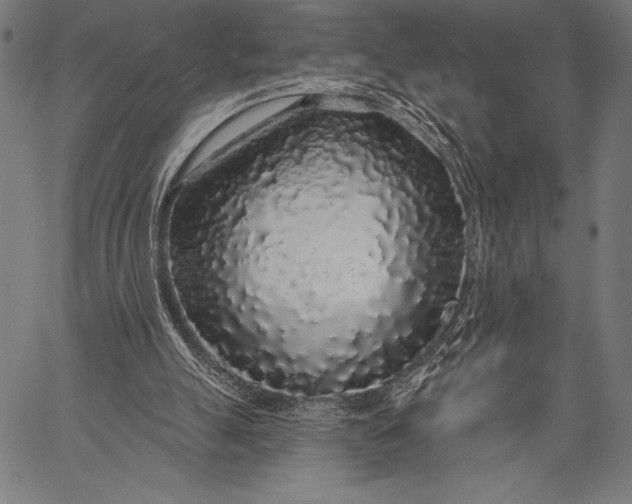 X0000057090055200509301601