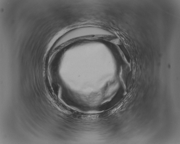 X0000057090056200509301601