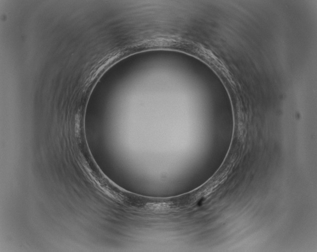 X0000057090057200509301601