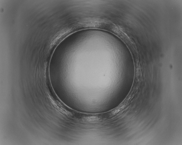 X0000057090058200509301601