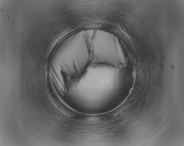 X0000057090059200509301601