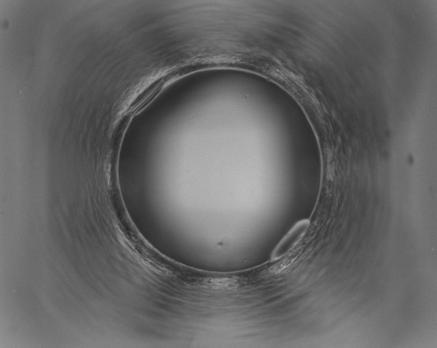 X0000057090060200509301601