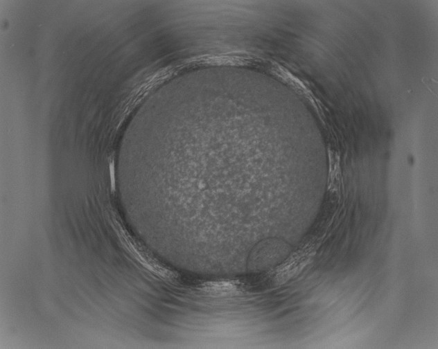 X0000057090061200509301601