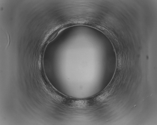 X0000057090064200509301602