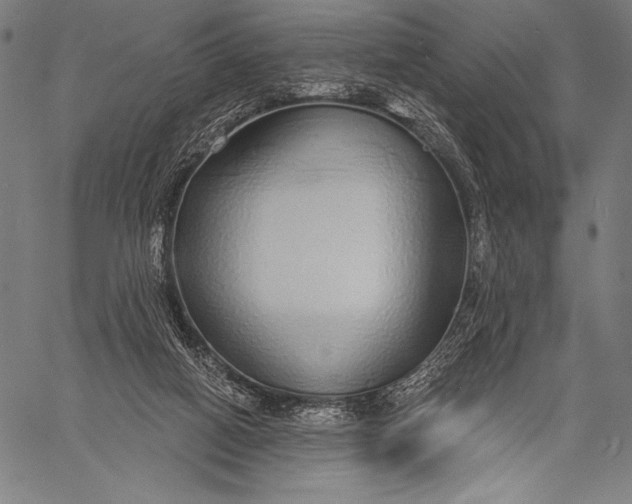 X0000057090066200509301602