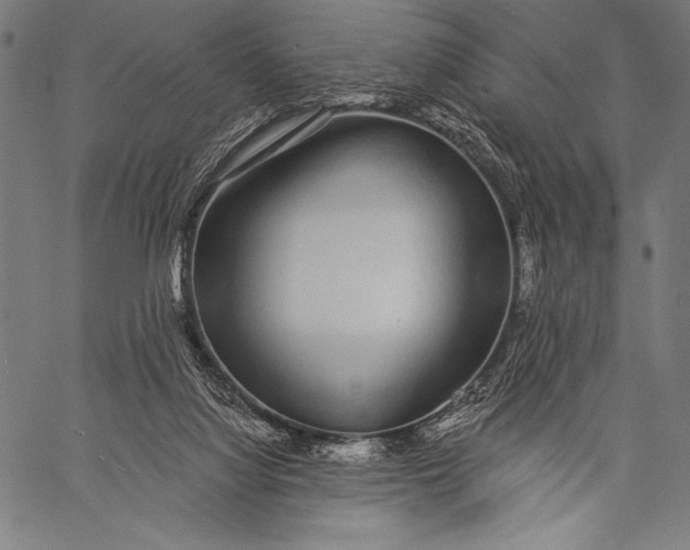 X0000057090068200509301602