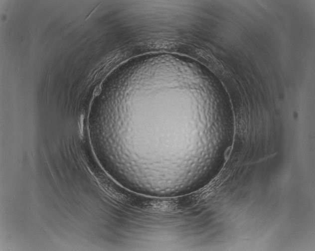 X0000057090070200509301602