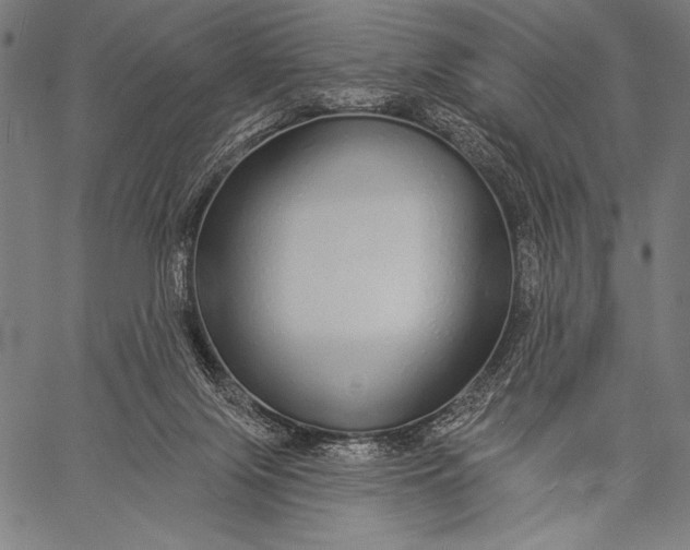 X0000057090071200509301602