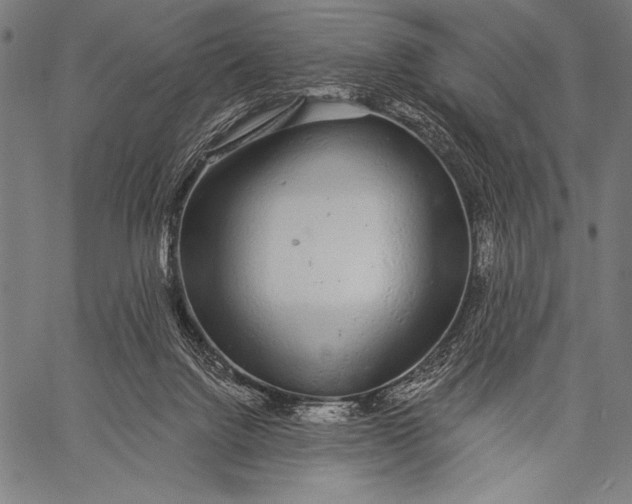 X0000057090072200509301602