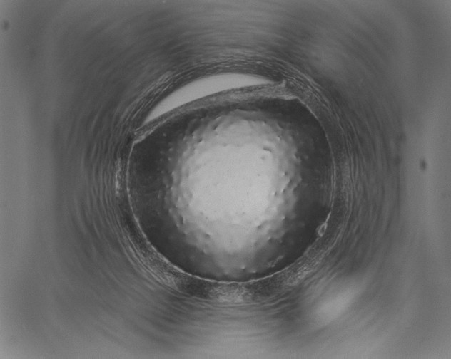 X0000057090073200509301602