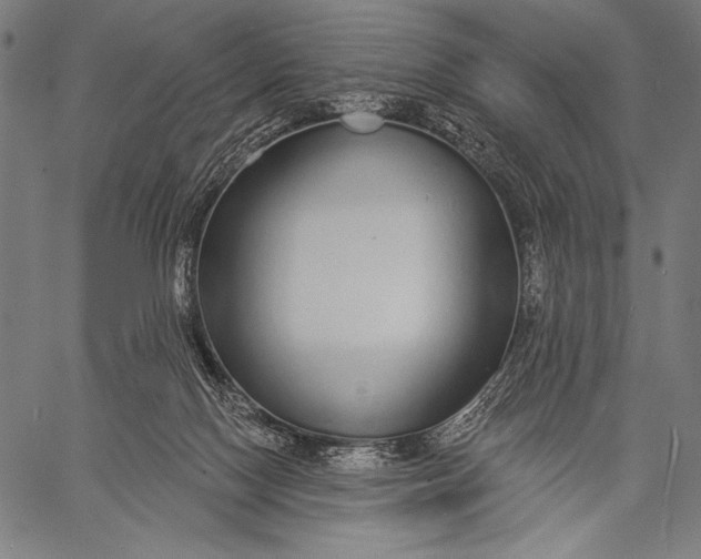 X0000057090074200509301602