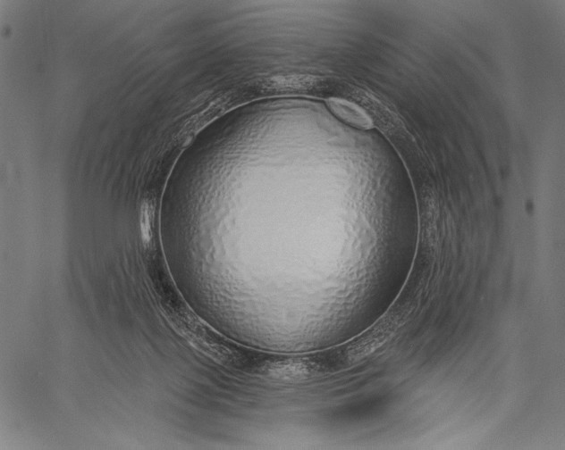 X0000057090075200509301602