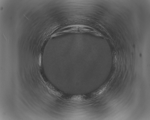 X0000057090076200509301602