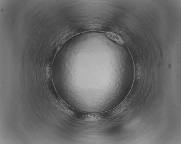 X0000057090077200509301602