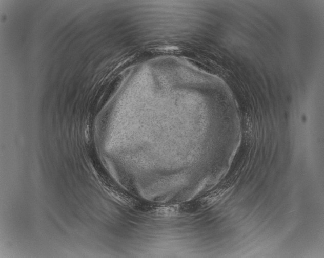 X0000057090080200509301602