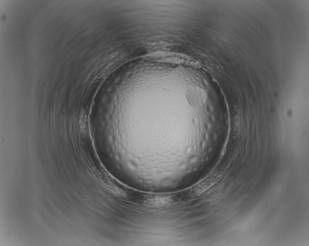 X0000057090081200509301602