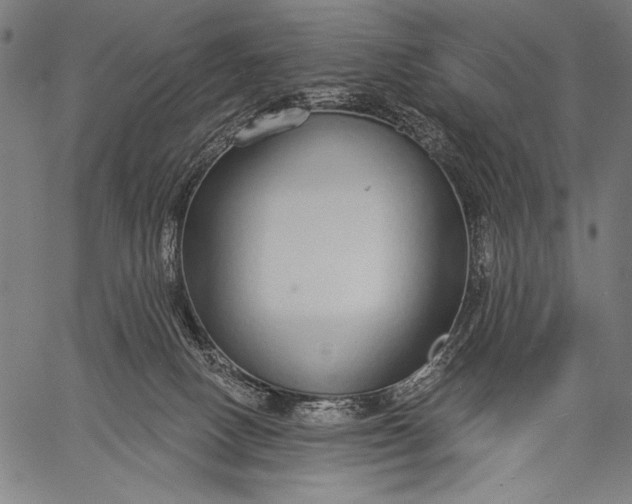 X0000057090082200509301602