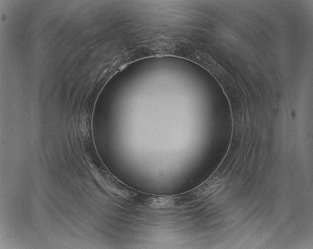 X0000057090088200509301602