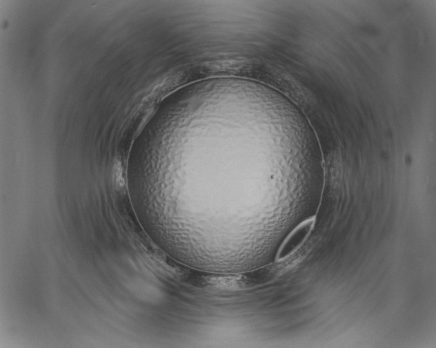 X0000057090089200509301602