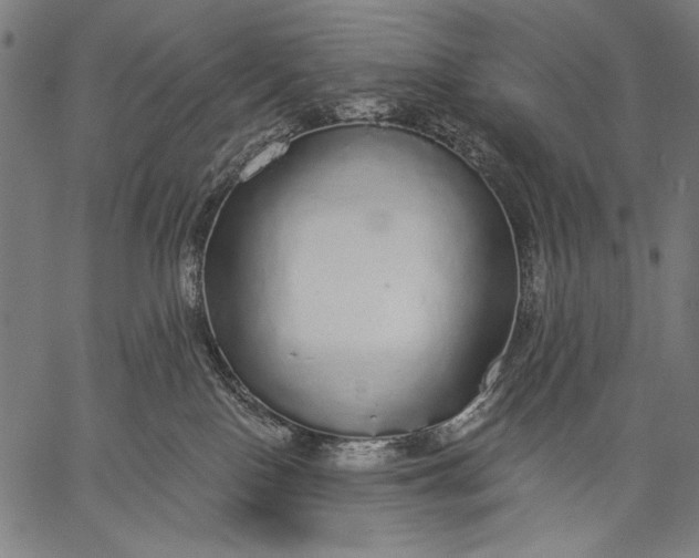 X0000057090090200509301602