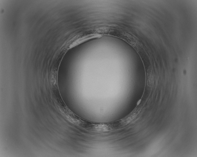 X0000057090091200509301602