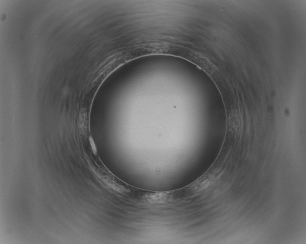 X0000057090092200509301602